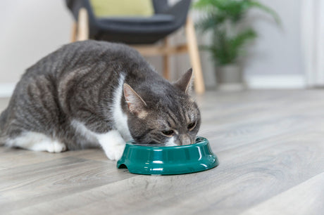 PHO_PRO_CAT_2474-5
