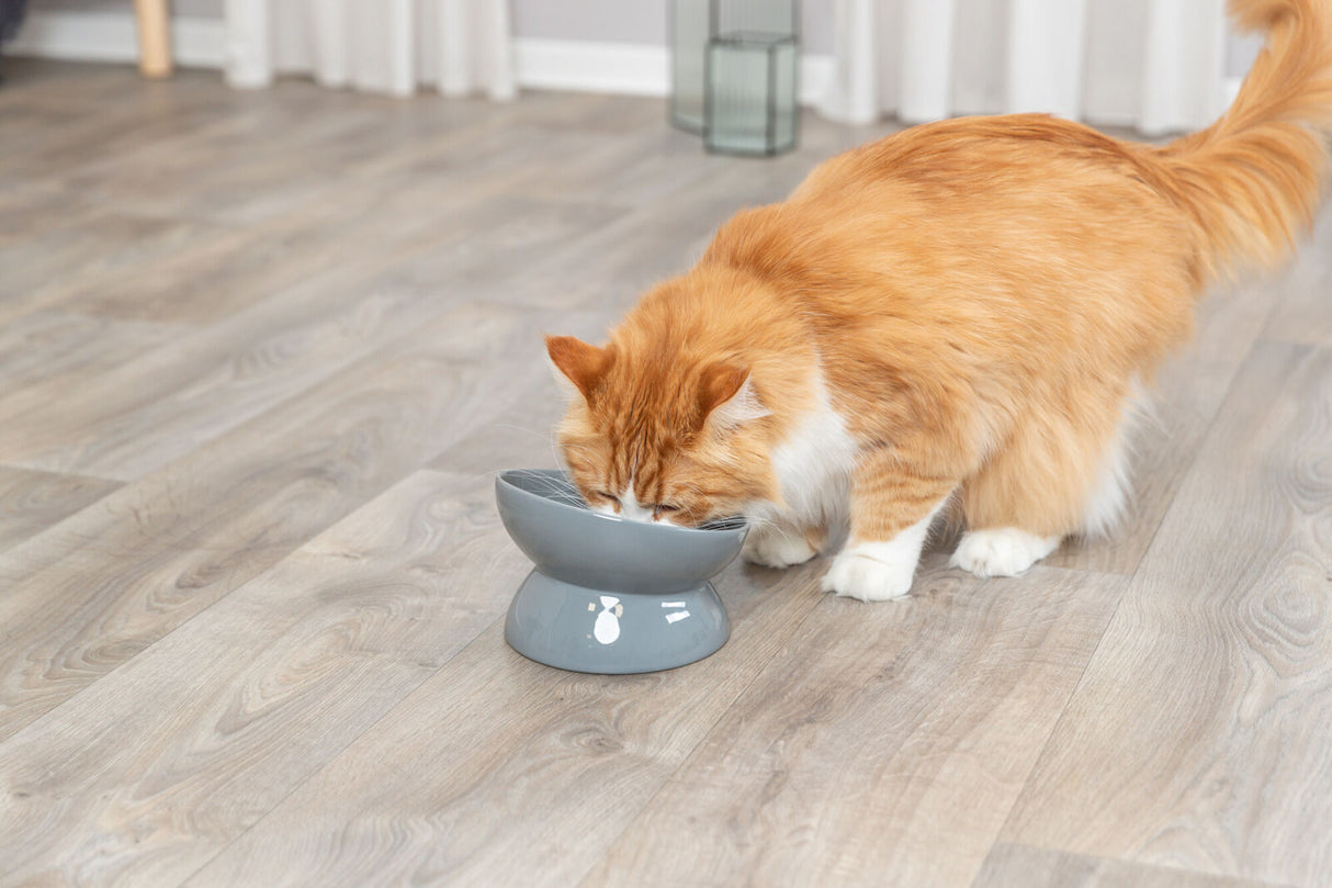 PHO_PRO_CAT_24805-1