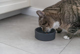 PHO_PRO_CAT_24810-1