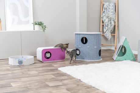 Zwei gestreifte Katzen spielen neben einem blauen und einem rosa Katzenspielhaus im Wohnzimmer.