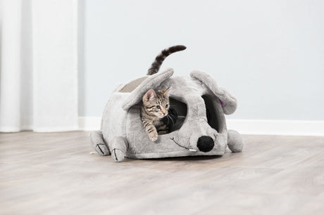 PHO_PRO_CAT_36290-2