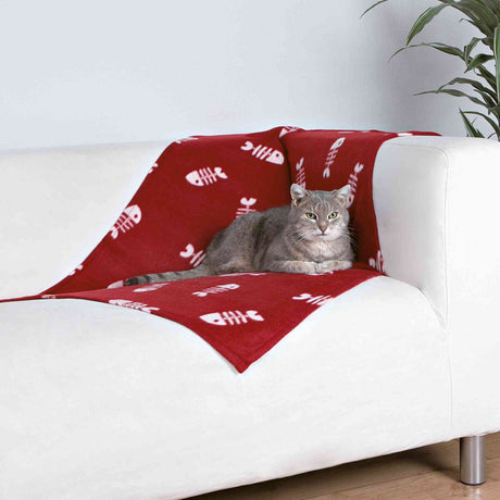PHO_PRO_CAT_37193-1
