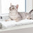 PHO_PRO_CAT_384005-2