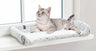 PHO_PRO_CAT_384005-2