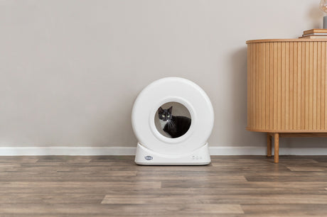 PHO_PRO_CAT_40050-1