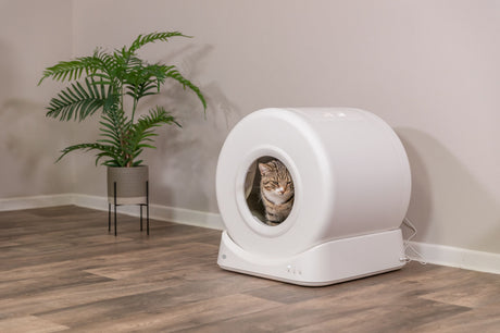 PHO_PRO_CAT_40050-3