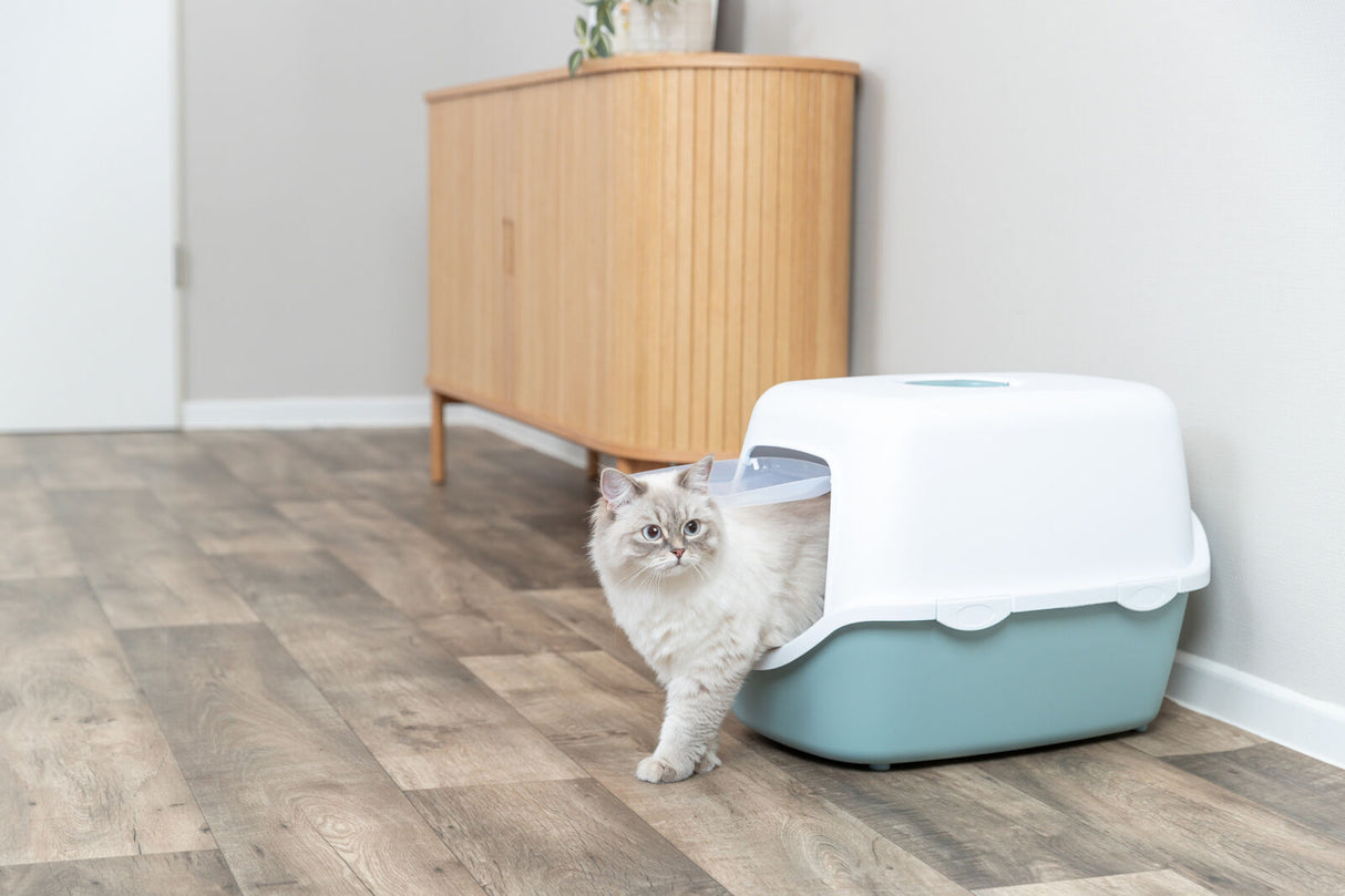 Eine Katze verlässt eine geschlossene Katzentoilette mit weißem Deckel auf einem Holzboden, Hintergrund ein Holzschrank.