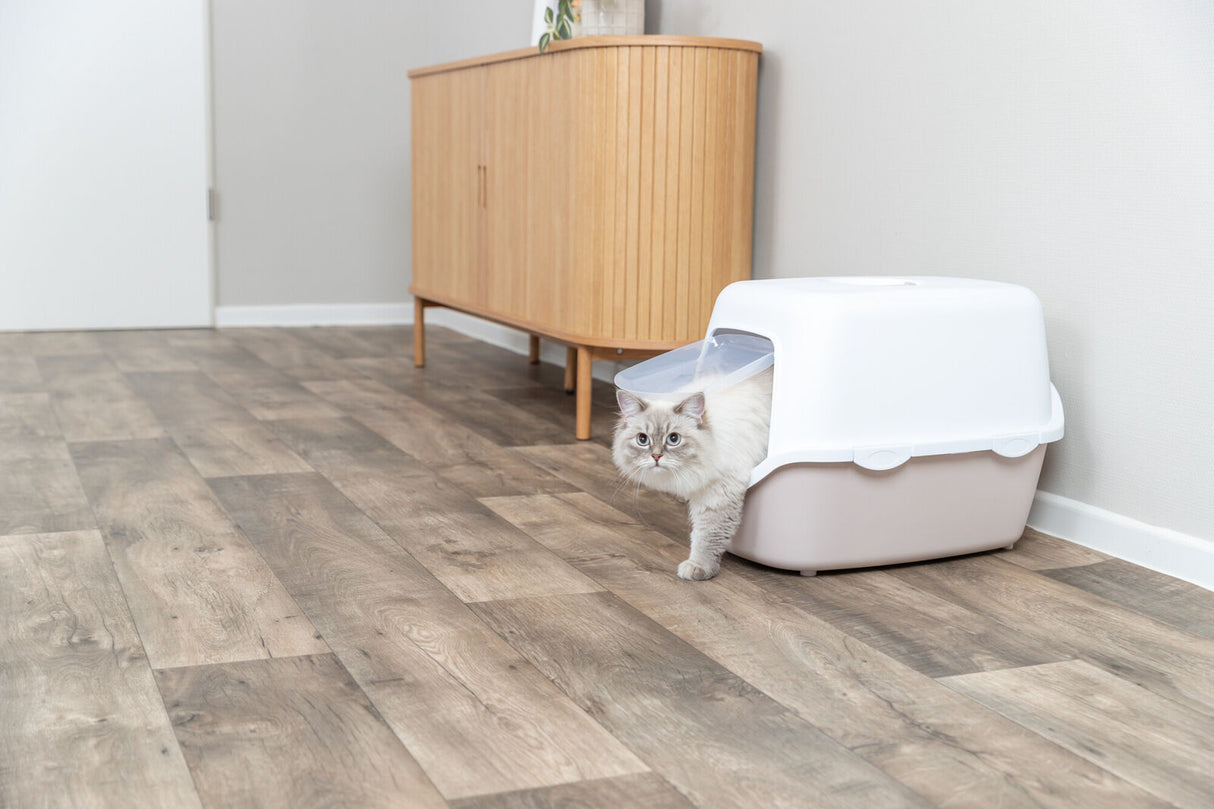 Eine Katze verlässt eine geschlossene Katzentoilette auf einem Holzboden in einem modernen Raum.