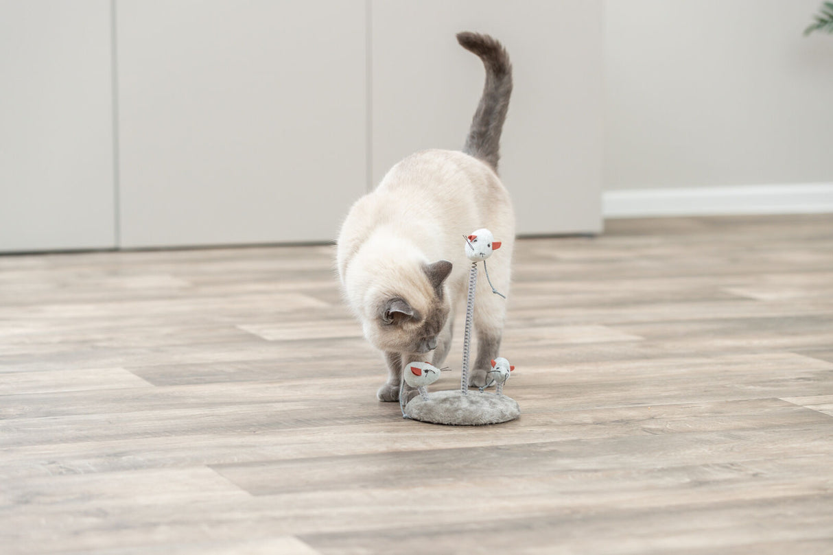PHO_PRO_CAT_4070-5