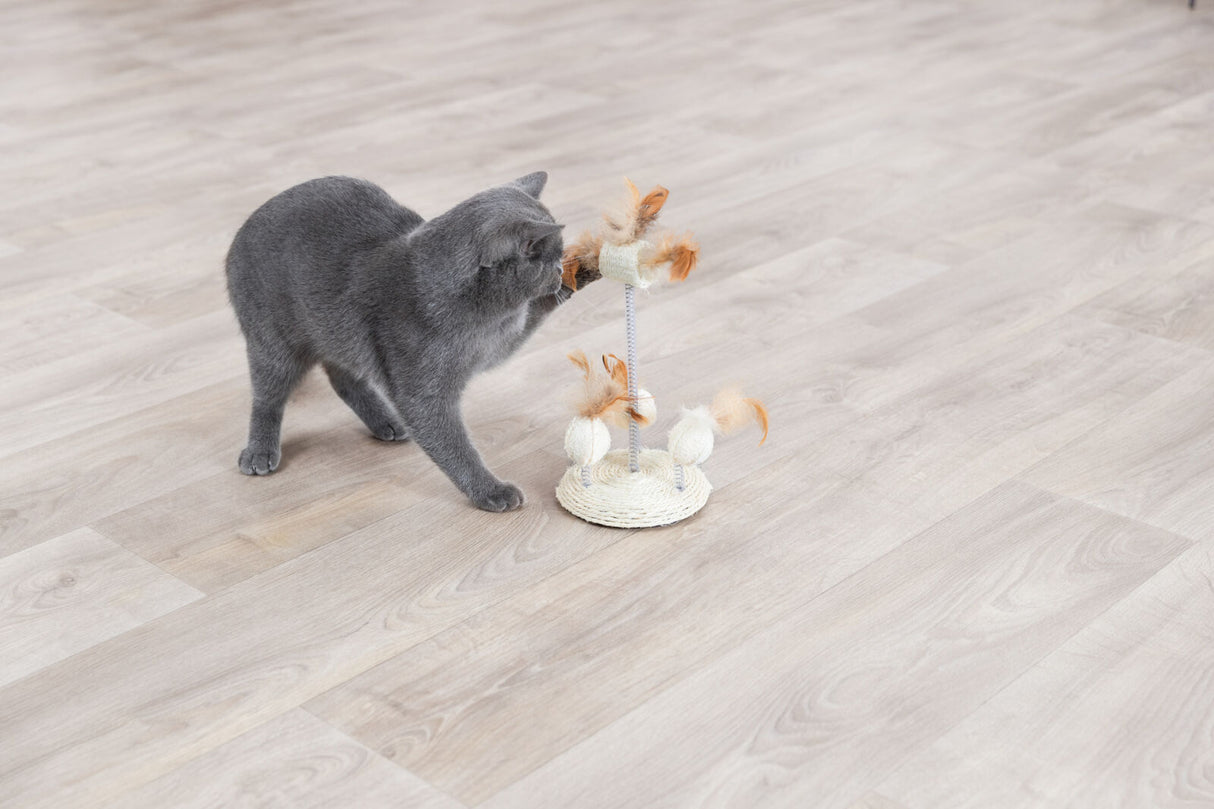 Graue Katze spielt mit einem Spielzeug, das aus einer runden, geflochtenen Basis und aufrechten, mit Federn verzierten Stangen besteht.