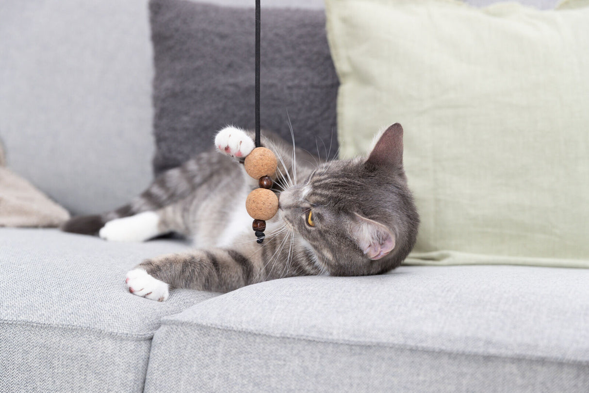 PHO_PRO_CAT_41139-1