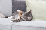 PHO_PRO_CAT_41139-1