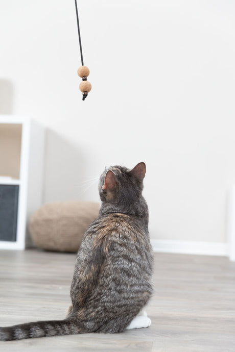 PHO_PRO_CAT_41139-2