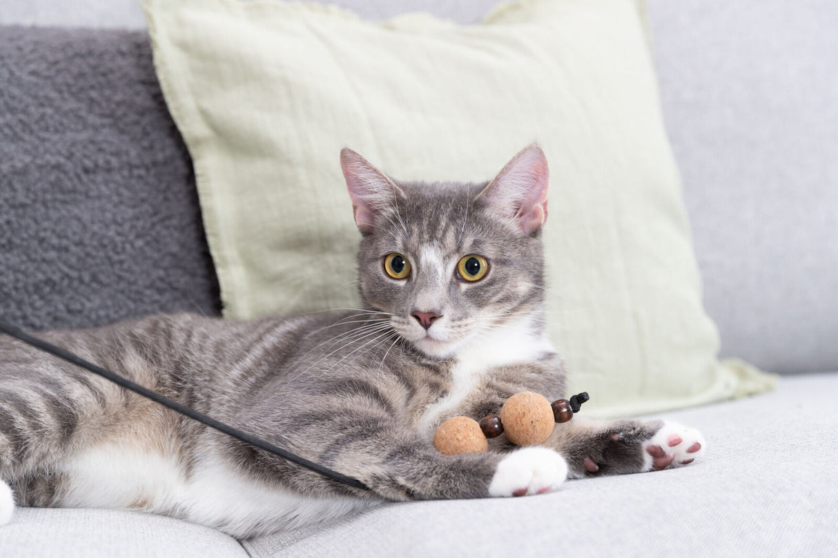 PHO_PRO_CAT_41139-3