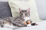PHO_PRO_CAT_41139-3