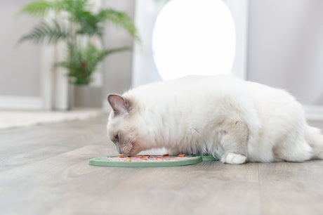 PHO_PRO_CAT_41369-5