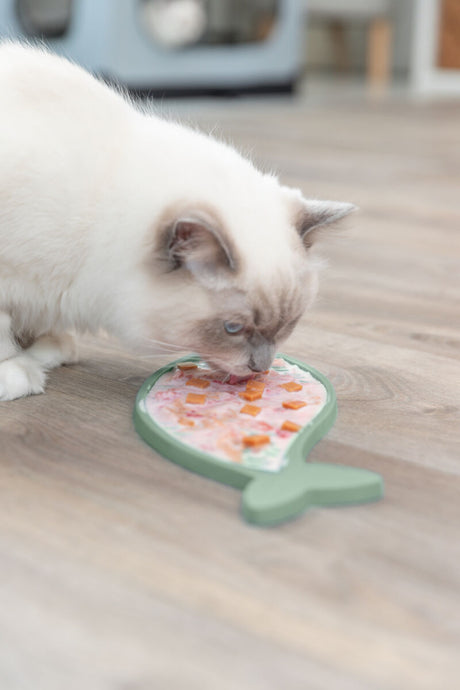 PHO_PRO_CAT_41369-6
