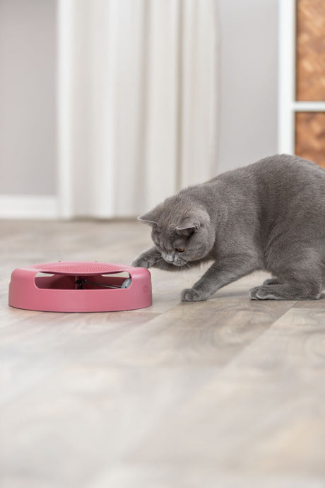 PHO_PRO_CAT_41411-1