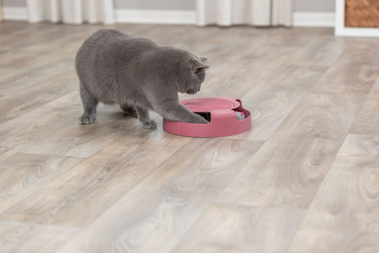 PHO_PRO_CAT_41411-2