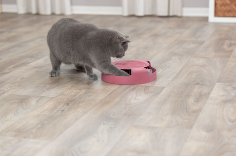 PHO_PRO_CAT_41411-2