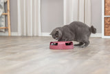 PHO_PRO_CAT_41411-3