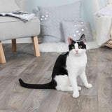 PHO_PRO_CAT_42425-2