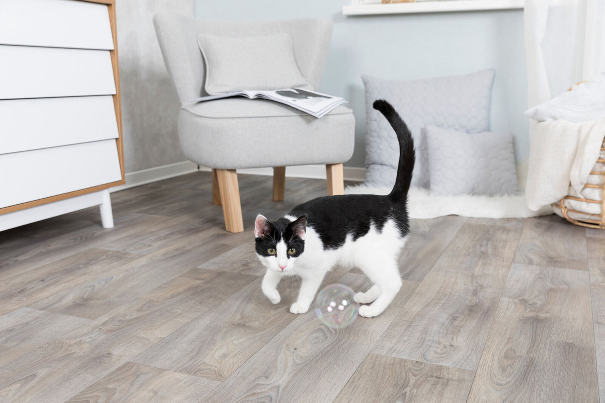 Eine schwarz-weiße Katze spielt mit einer schimmernden Seifenblase auf einem Holzfußboden in einem hellen Raum.