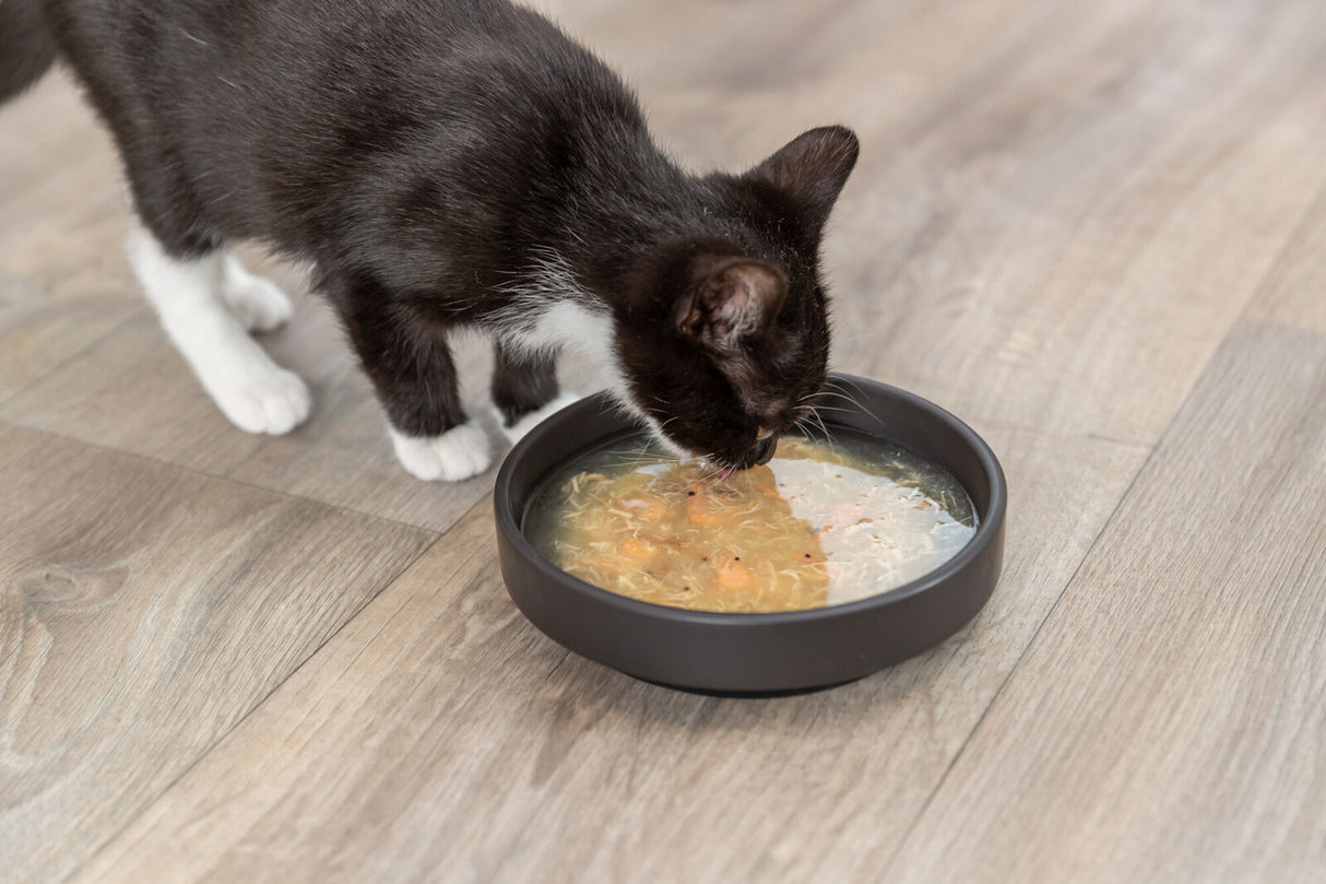 PHO_PRO_CAT_42690-2