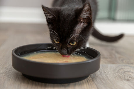 PHO_PRO_CAT_42690-3