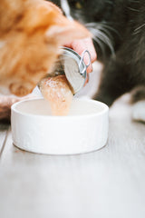 Katzenfutter wird aus einer Dose in einen weißen Napf gefüllt, während eine Katze daneben steht.