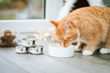 Eine rot getigerte Katze trinkt aus einem weißen Napf, daneben stehen Dosen Katzenfutter.