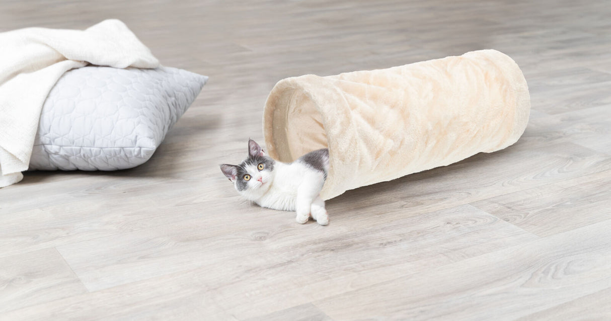 Weiß-graue Katze liegt in beige-rohrförmigem Kissen auf hellem Holzboden, neben einem weißen Kissen.