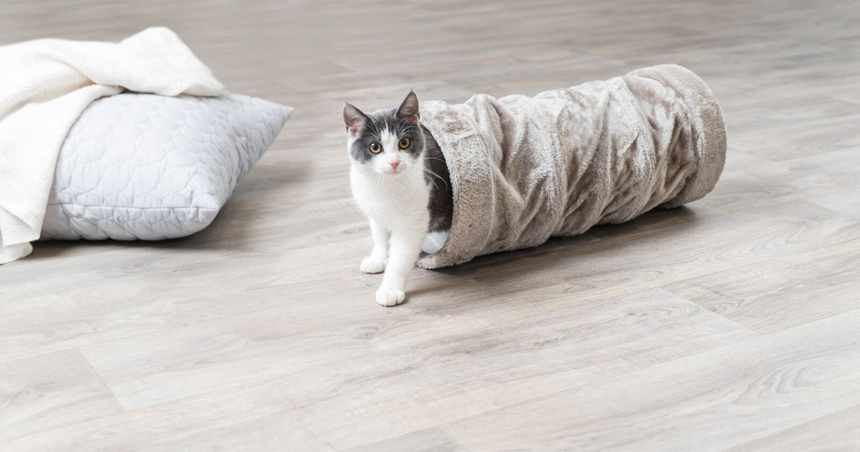 Eine schwarz-weiße Katze schaut aus einer flauschigen, grauen Röhre auf einem Holzfußboden, daneben ein graues Kissen.