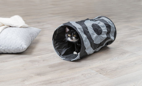 PHO_PRO_CAT_4301-6