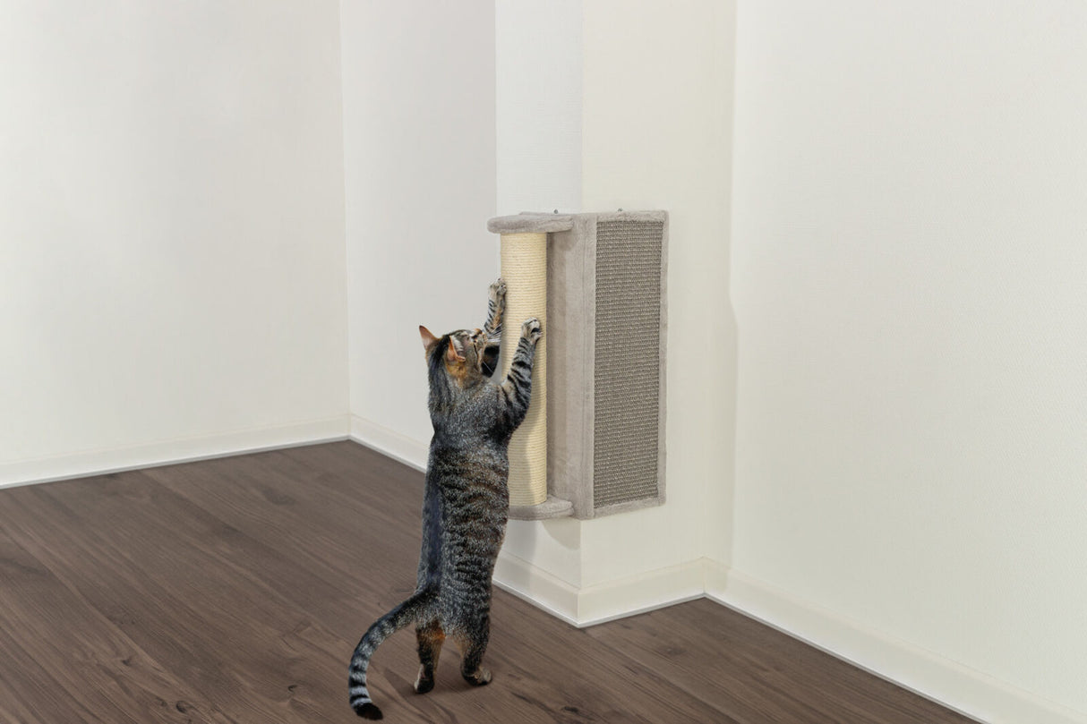 PHO_PRO_CAT_43082-1