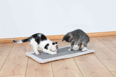 PHO_PRO_CAT_43110-1