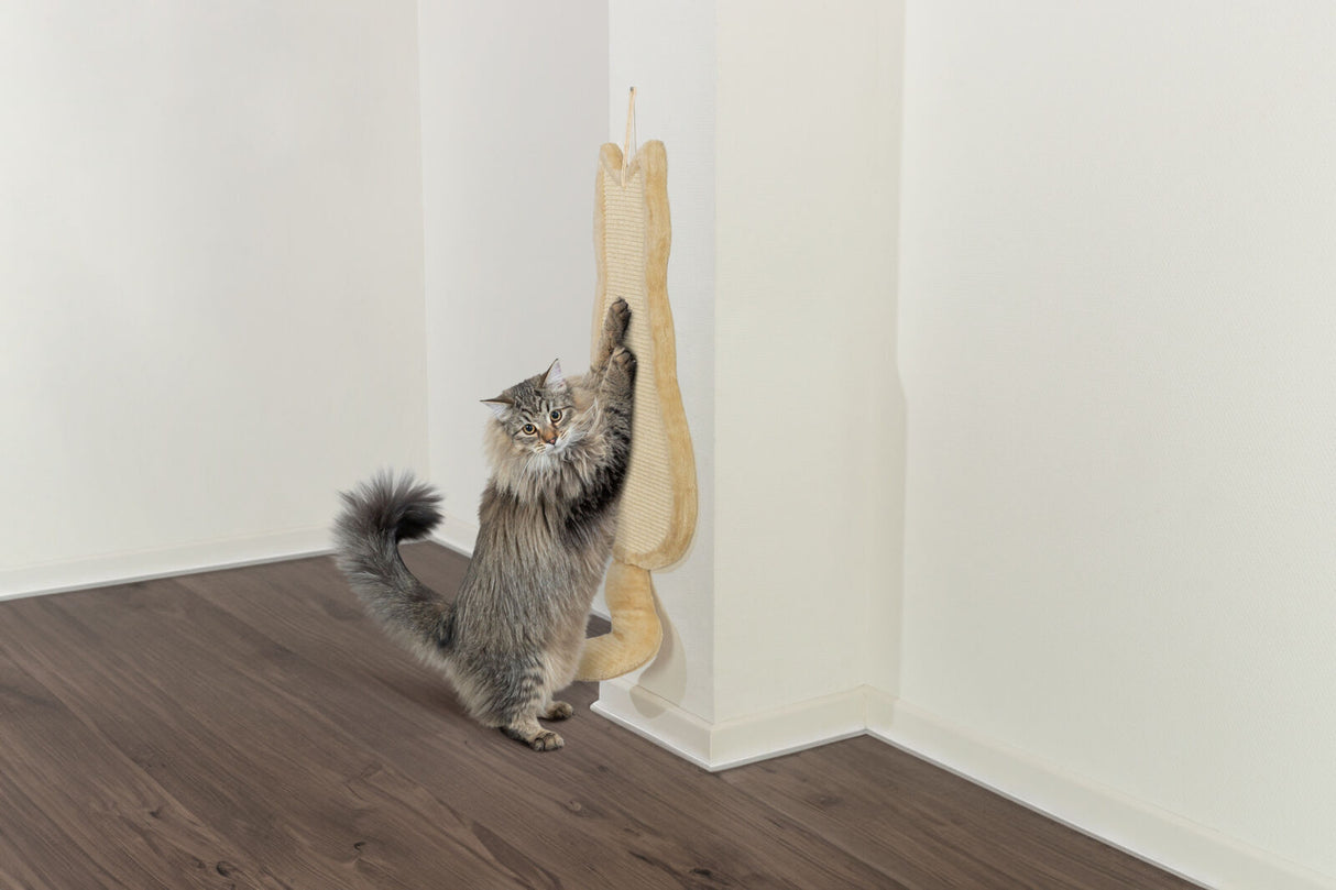 PHO_PRO_CAT_43112-1