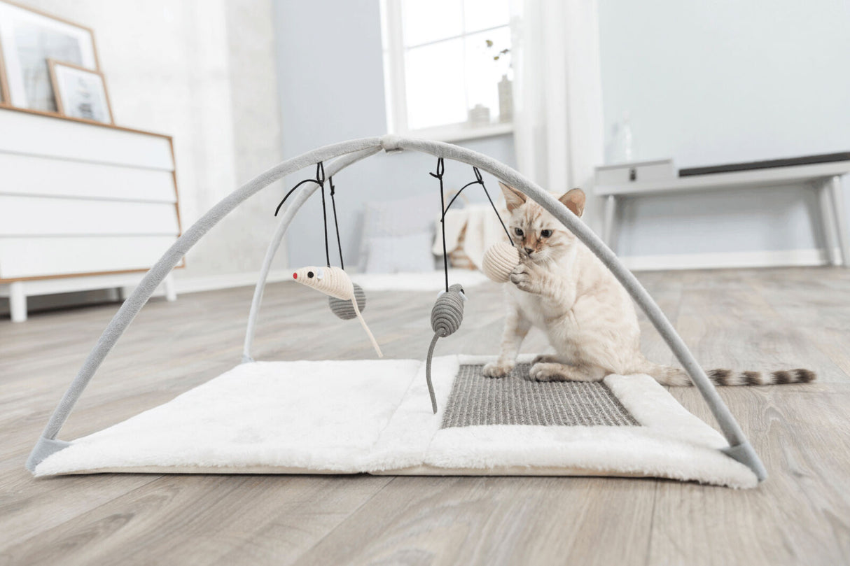 Kleine Katze spielt auf einer grauen Spielmatte mit hängendem Spielzeug, die auf einem Holzboden liegt.