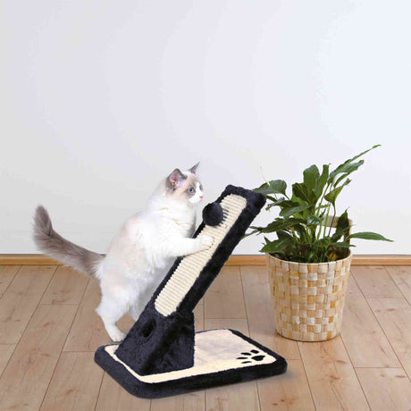 PHO_PRO_CAT_43115-1
