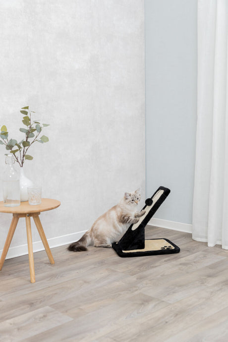 Eine Katze kratzt an einem schwarzen Kratzbrett in einer hellen Ecke mit Holzboden und einem kleinen Tisch.