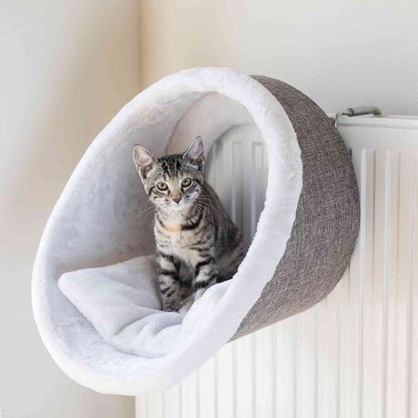 PHO_PRO_CAT_43144-1