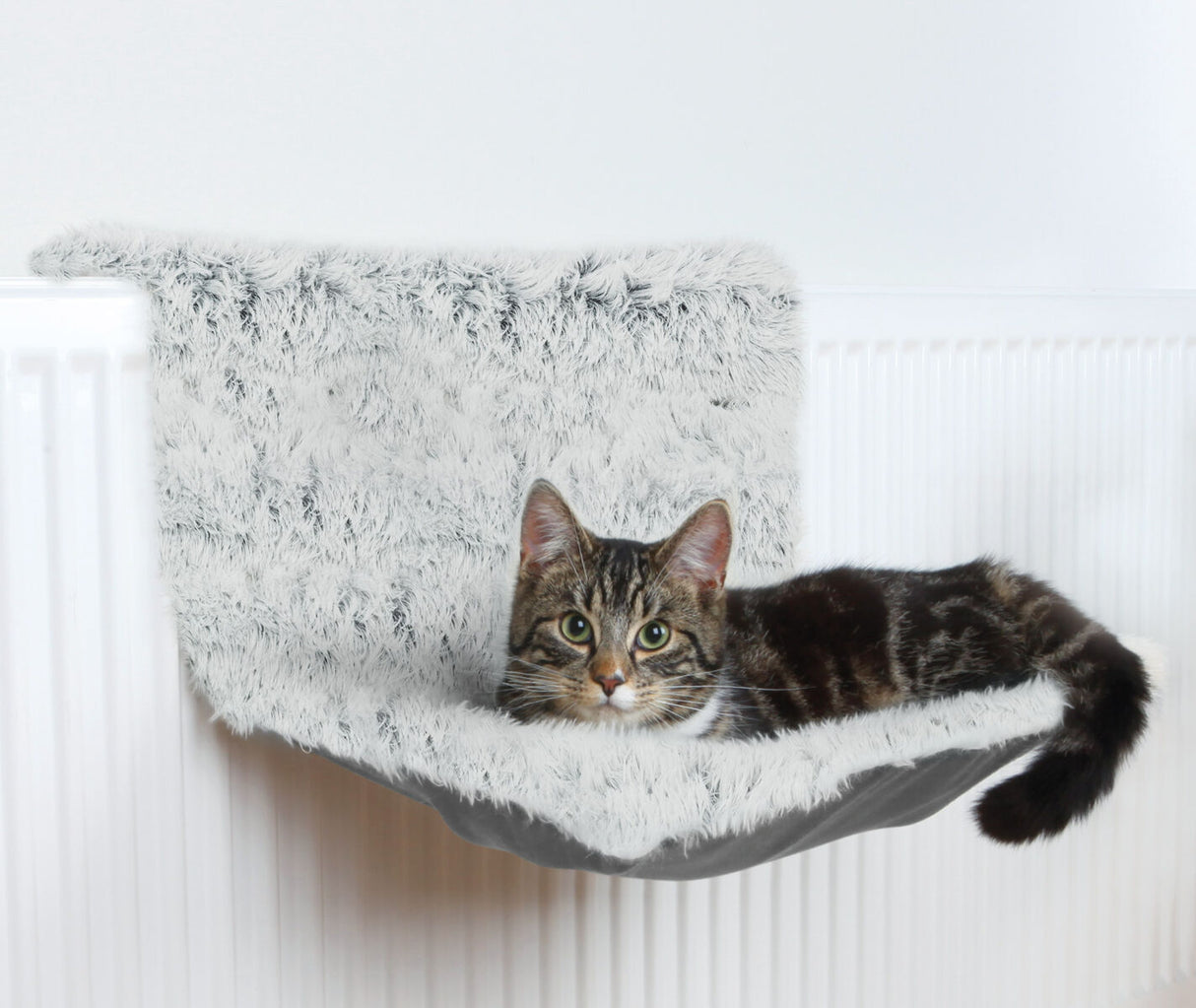 PHO_PRO_CAT_43145-2