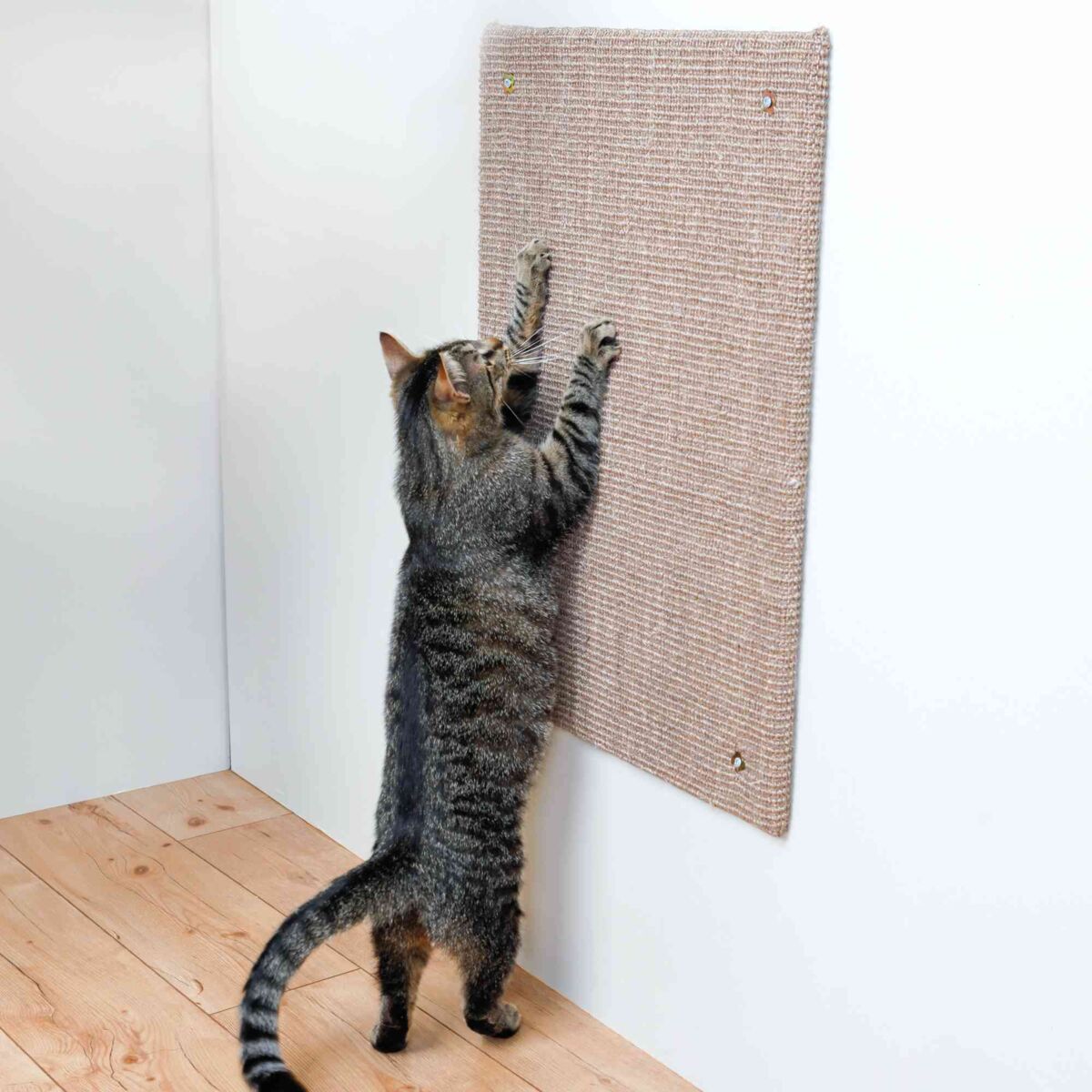 Eine Katze kratzt an einer vertikalen Kratzmatte aus Sisal, die an einer weißen Wand befestigt ist.