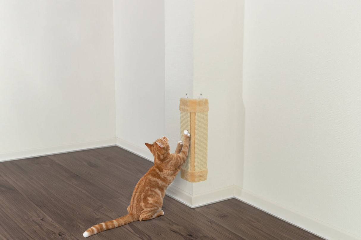 Eine getigerte Katze kratzt an einem beigen Kratzbrett, das an einer weißen Wand in einer Zimmerecke montiert ist.