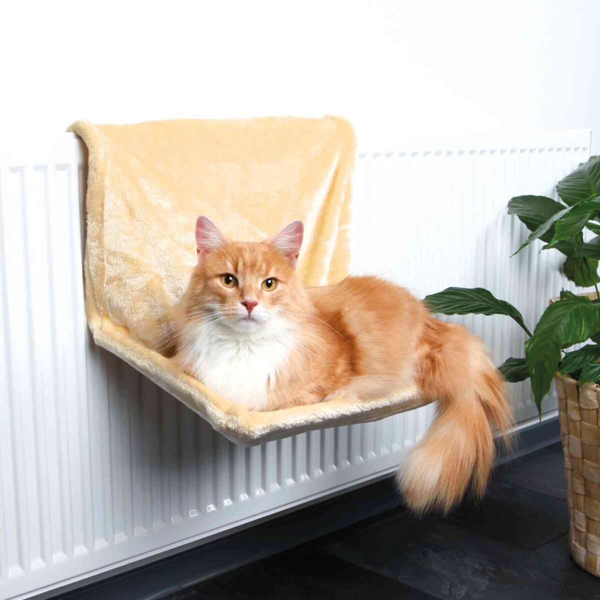 PHO_PRO_CAT_43201-1