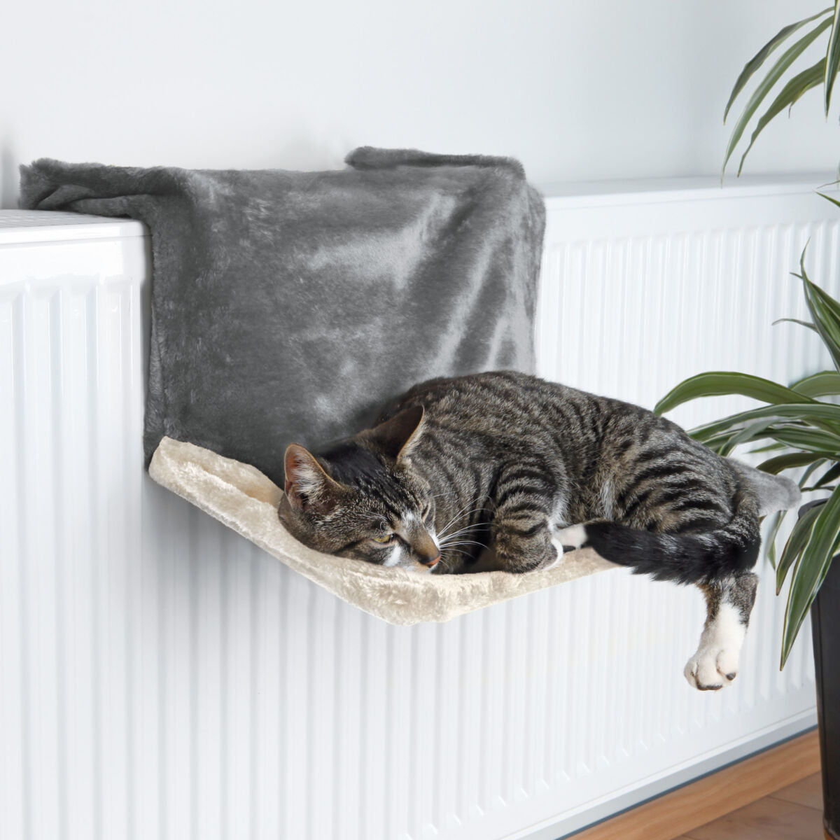PHO_PRO_CAT_43207-1