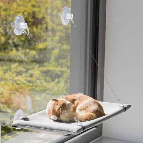 PHO_PRO_CAT_43209-5