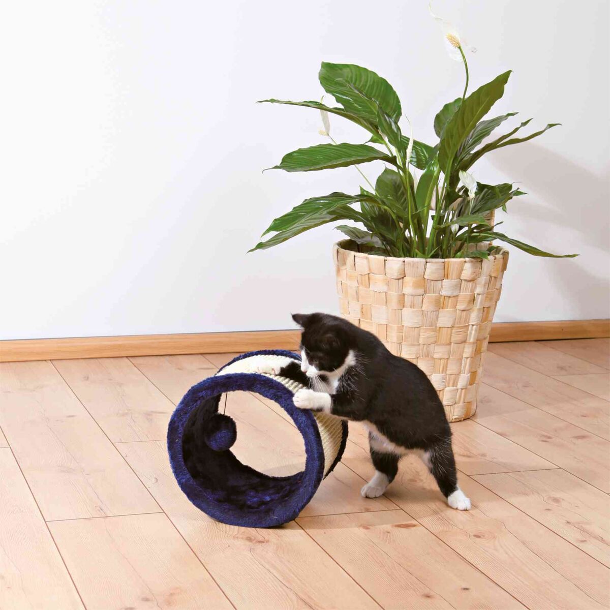 PHO_PRO_CAT_4324-1
