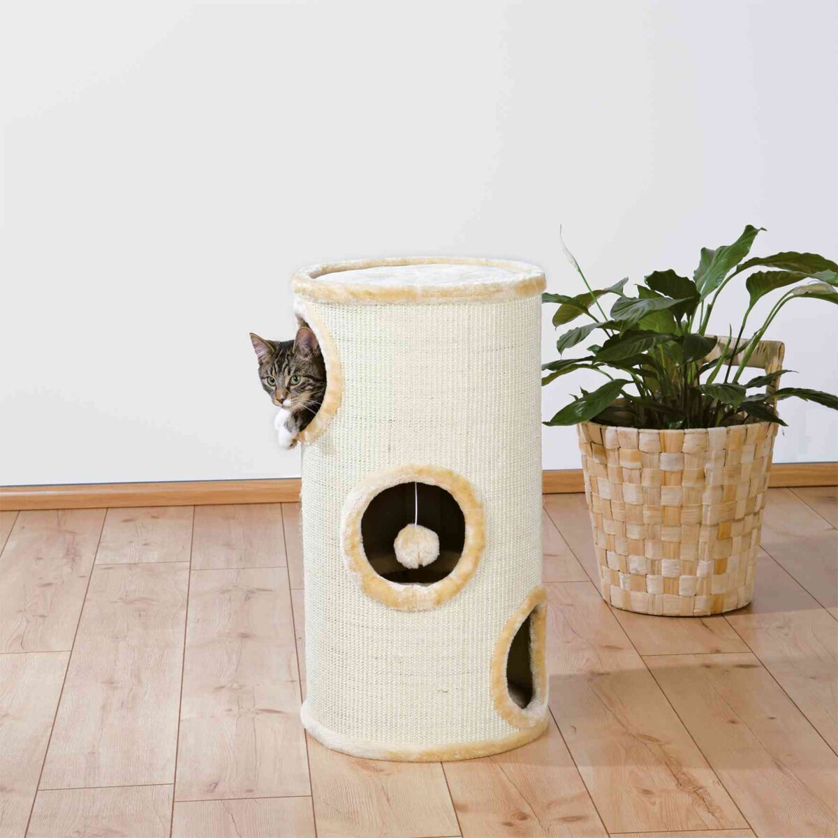 PHO_PRO_CAT_4330-1