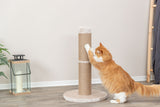 PHO_PRO_CAT_43337-2